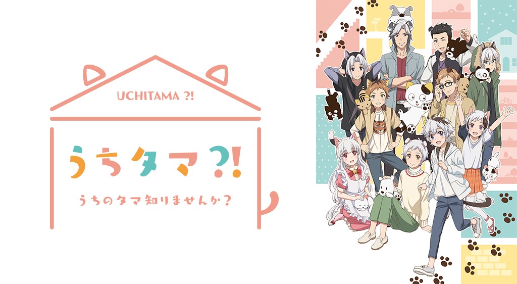 うちタマ のアニメ動画を全話無料視聴できるサイトまとめ 午後の うちタマ のアニメ動画を全話無料視聴できるサイトまとめ 午後の